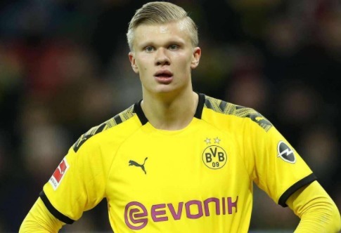 知识截止并